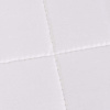  Одеяло Billerbeck Sari superlight (летнее) +24°С и выше, тусса-шёлк фото в интернет-магазине Герд Биллербек